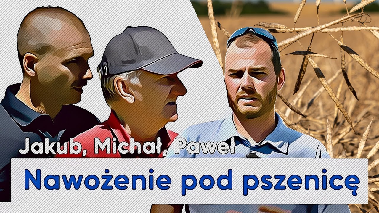 Nawożenie pod PSZENICĘ. Jak sypał rzepak z wczesnych zbiorów? | odc. #65