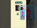 ايه هو دور السينما في إنتشار الإباحية أخضر