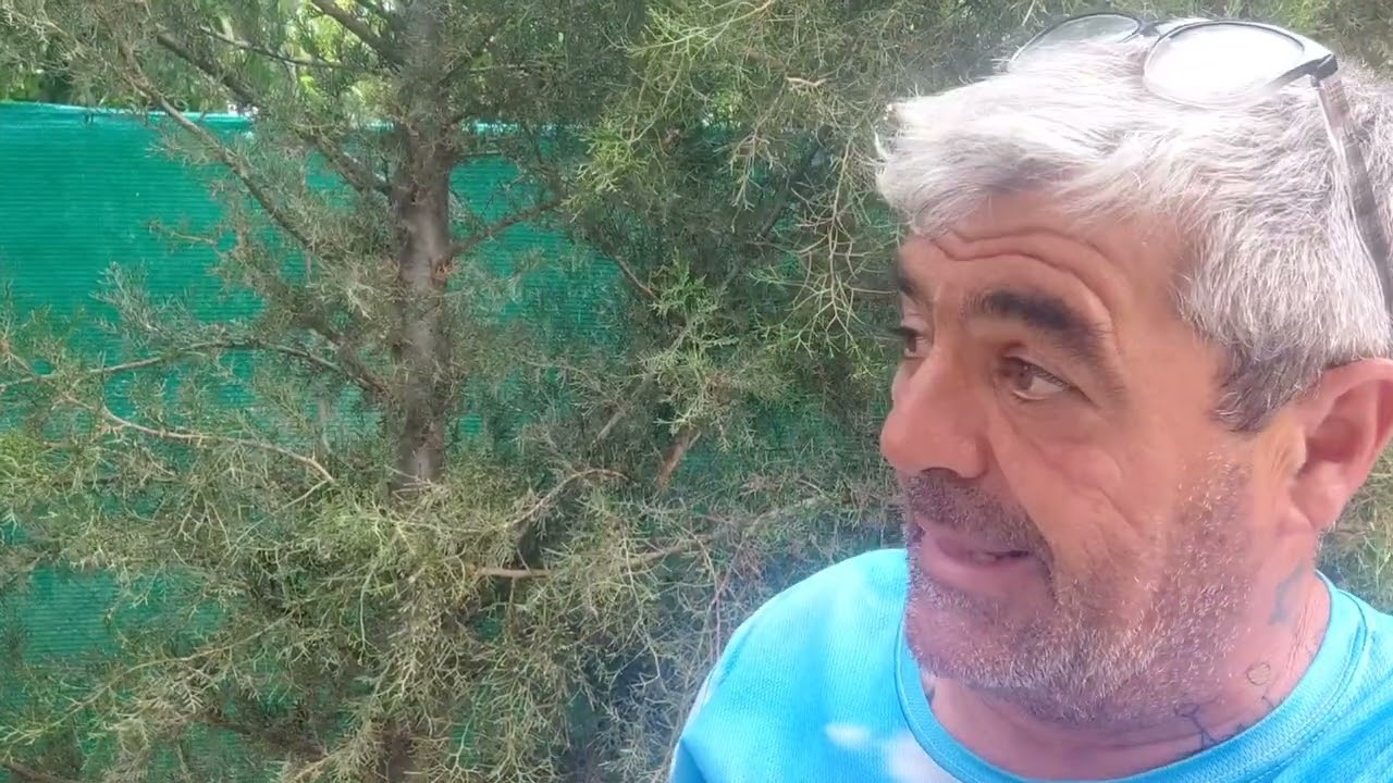 Como regar y abonar por goteo de manera simple sencilla y económica