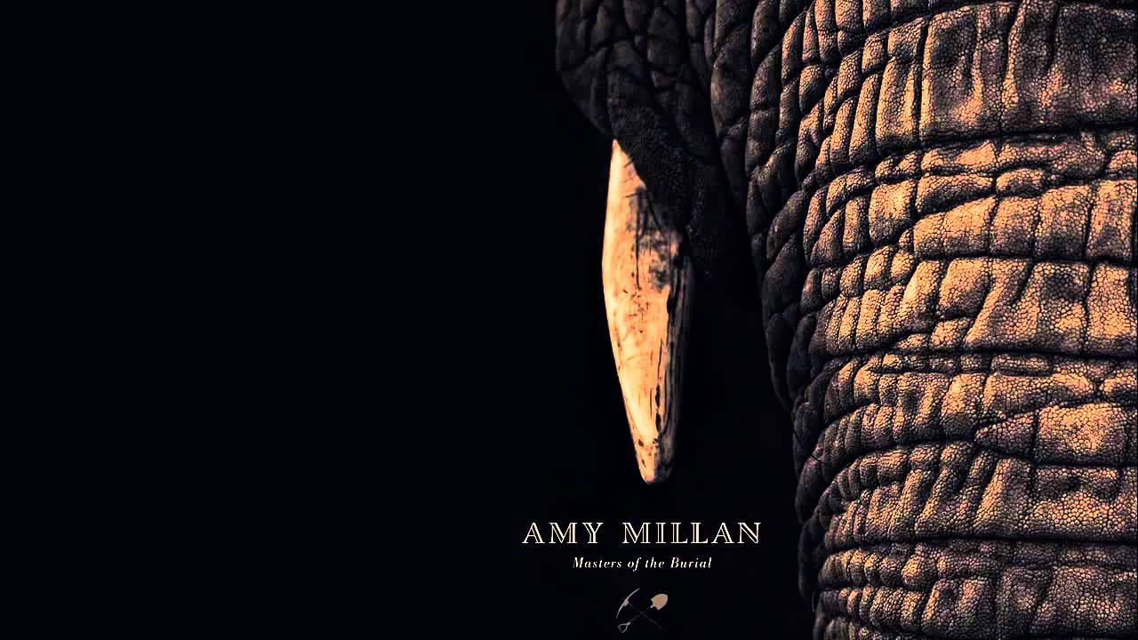 Ver Amy Millan - Lost Compass HD en YouTube Ver Amy Millan - Lost Compass HD en YouTube