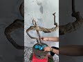 M801...200k phôi hồng quân núi lh0908692917zalo