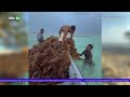 30 June 2026 | SIBC TV NEWS
