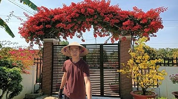 Hướng dẫn cách làm giàn hoa Leo Lớn SIÊU NHANH- Tiết Kiệm - Ngay Tại Nhà