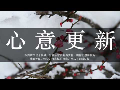 【睡前祷告】心意更新20260706-主啊求你亲自更新我们的心，让我们不再只是外面维持信仰的样子，而是里面真实被你改变，让我们在每天的生活中，脱离旧有的属世价值。