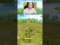 Vẩy AMR 3Z hiệu quả (Cre: Bộ Bim) | PUBG MOBILE VN #pubgmobile #shorts