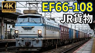 (4K) JR貨物 國鐵EF66型電力機車 EF66-108牽引貨物列車通過京都車站月台