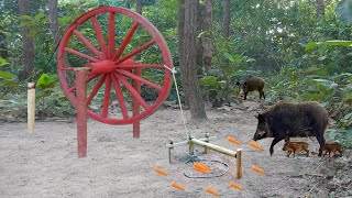 Primitive survival skills _ Build Unique Primitive Wild boar Trapping Using Traditional Cart wheels