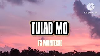 Tulad Mo - TJ Monterde ( Official Lyrics )