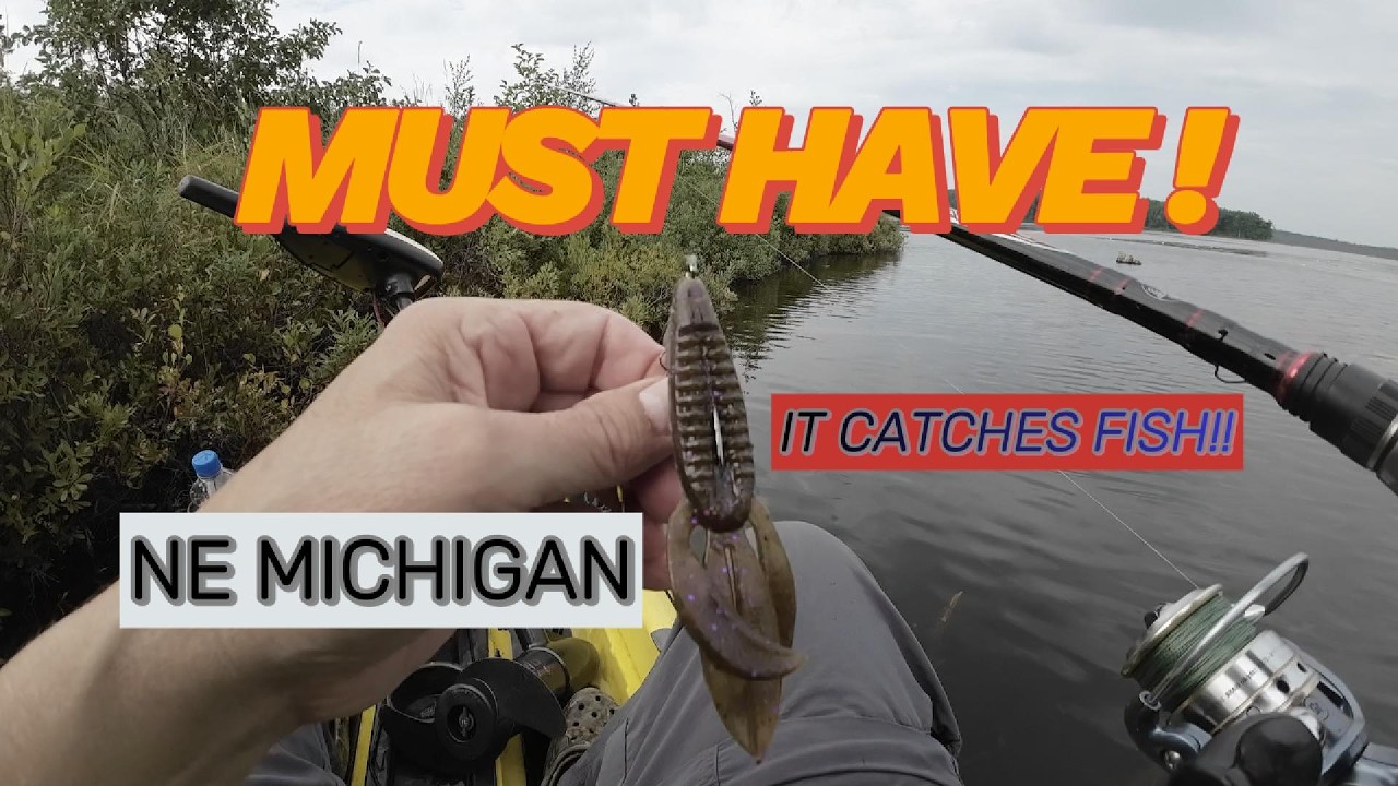 A MUST have bait for catching fish!