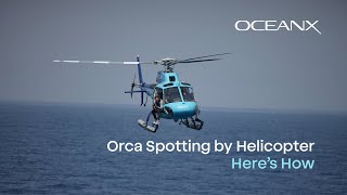Skybound Search With Oceanx 360 Helicopter Survey For Orcas In Indonesia