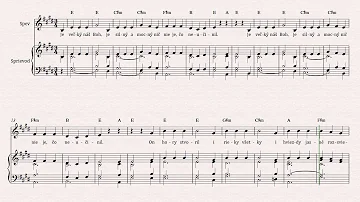 Jak hrát Základní akordy na ukulele?