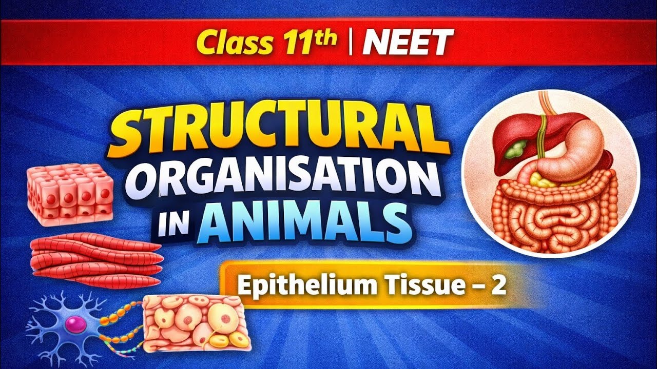 Structural Organisation in Animals -Class 11th -Lecture -2 