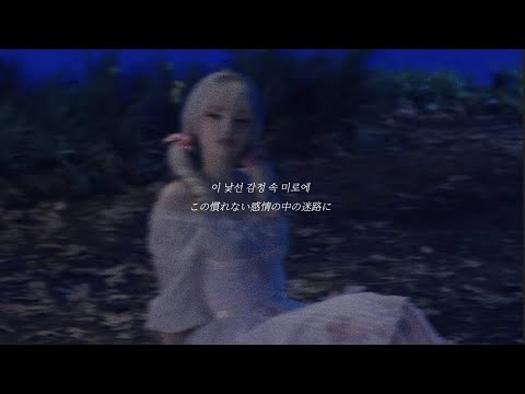 【和訳】"毎日毎日あなたの名前を呼んだ 千回くらい 千万回くらい"LOVE FOOLISH / TWICE