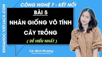 Công nghệ Lớp 7 Bài 5: Nhân giống vô tính cây trồng | Giải Công nghệ 7 | Kết nối tri thức