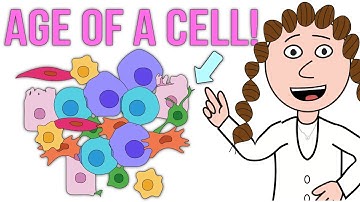 Age of a single cell! (epigenetic clocks)