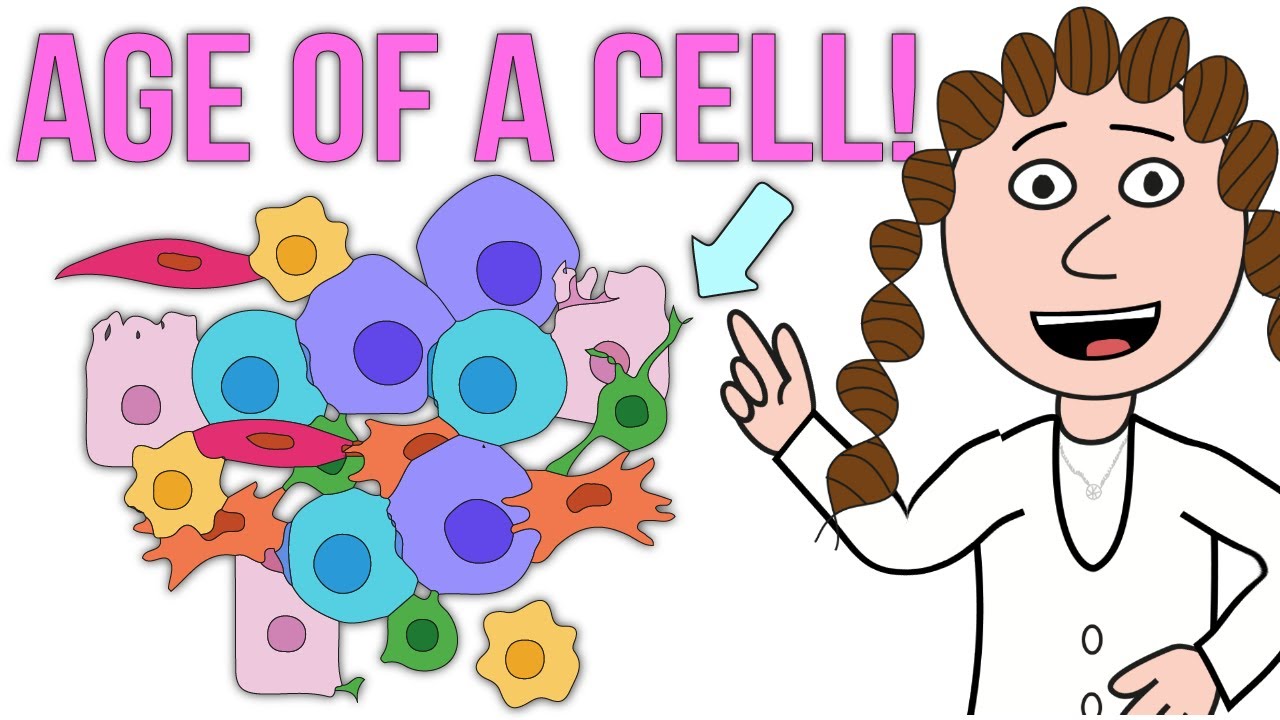 Age of a single cell! (epigenetic clocks)