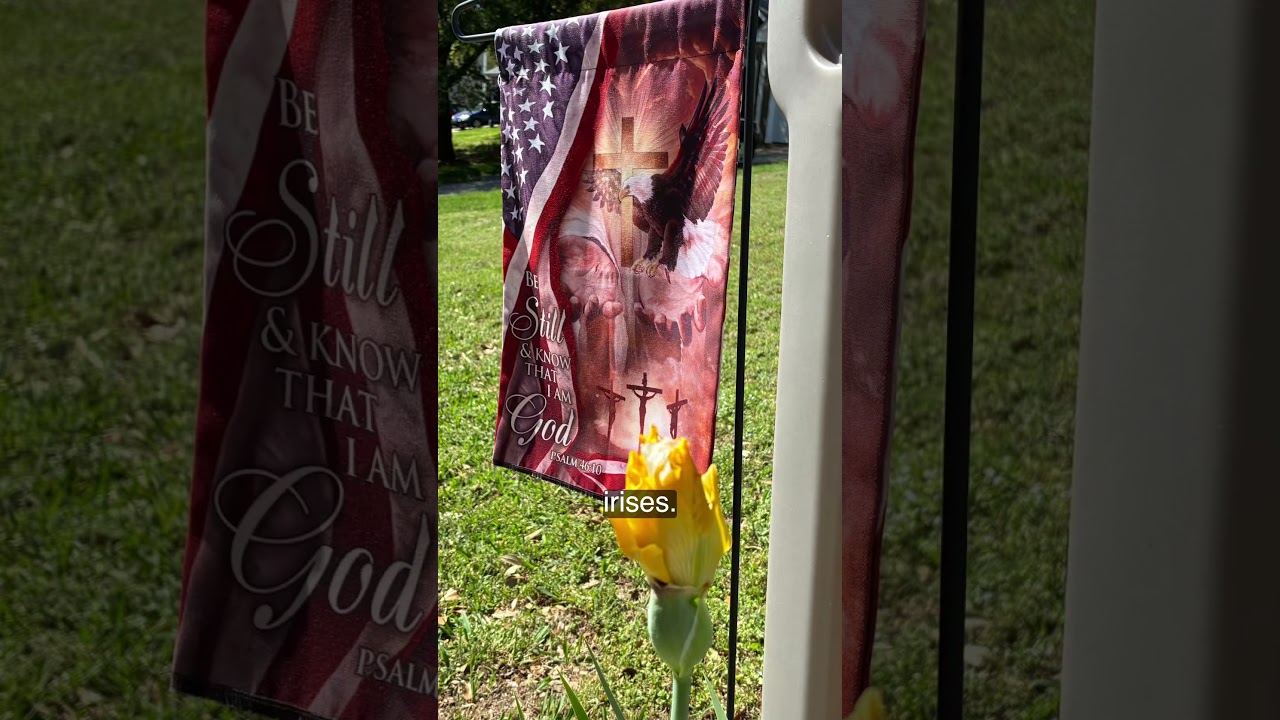 Created by our Lord. The Master Artist. Thank You, Jesus! #jesus #flowers #spring