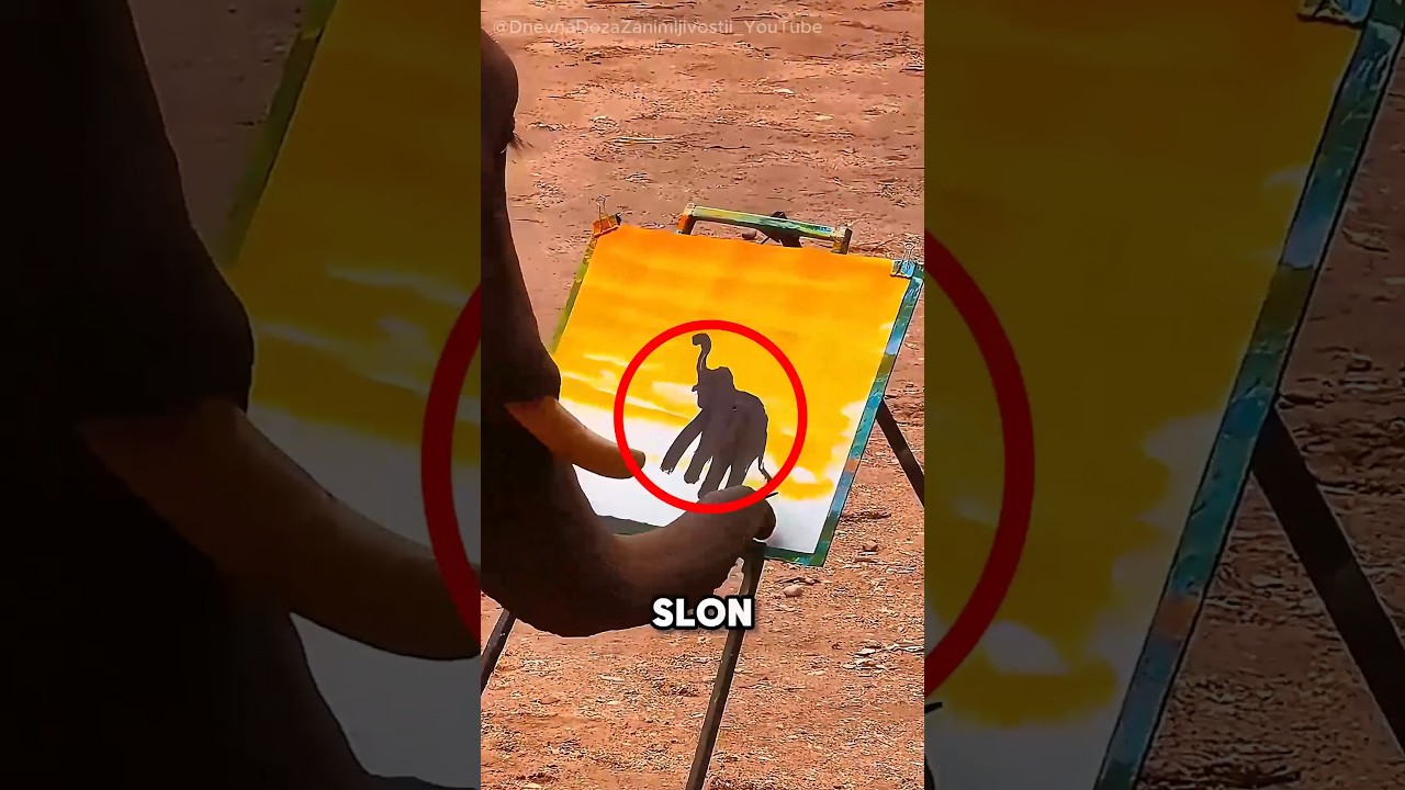 ČEKAJ… ŠTA? SLON SLIKA?!😳 #balkan #shorts #elephant #art #slon #balkantiktok #zanimljivosti #animals