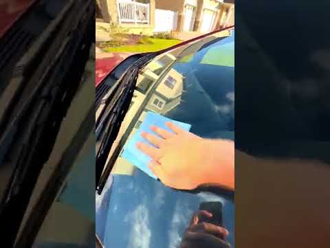 Foam Backed Perforated Vinyl