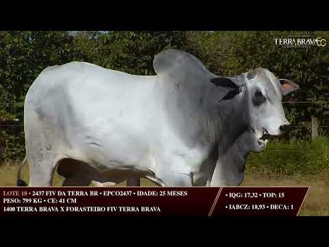 LOTE 18   EPCO 2437