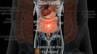 Abdominal Pain Explained 🔴 3D Human Anatomy Animation Gas, Bloating & Internal Pressure