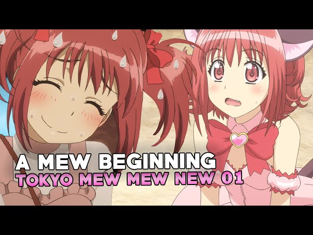 Tokyo Mew Mew (New) – 01 – Random Curiosity