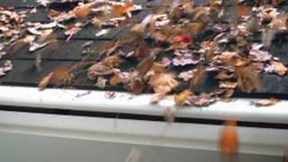 LeafGuard Gutter System Information