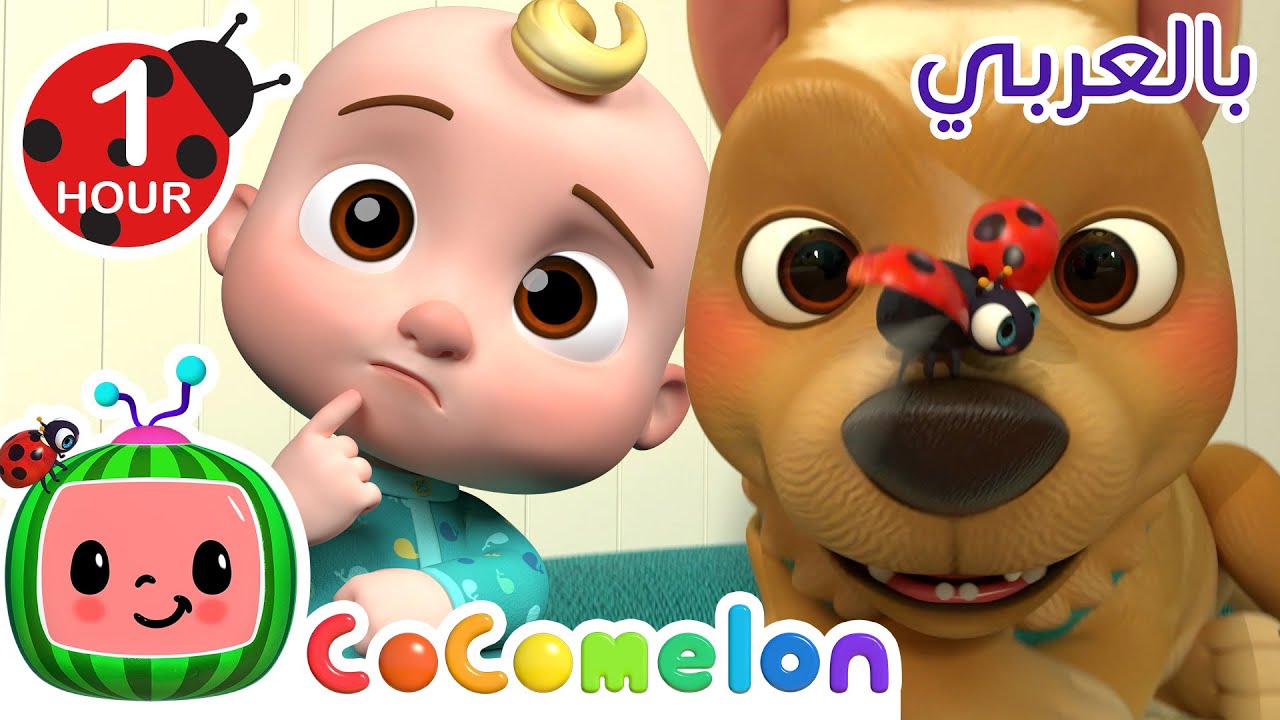 كلبي اللطيف أين هو | كوكو ميلون بالعربي | اغاني اطفال ورسوم متحركة - غميضة مع بينجو