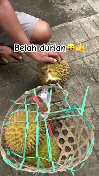 Belah durian😀😀😀