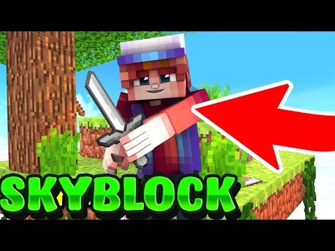 ეს არის ყველაზე მაგარი გადარჩენის რეჟიმი! Hypixel SKYBLOCK #1