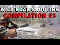 Compilation tirs de sangliers #3 - Wild boar shooting compilation