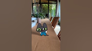 Benji meets REAL BENJI! 🙀 #simbochka #simba #animation #cat