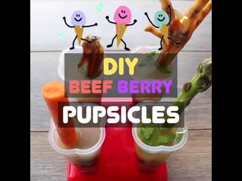 Meat Berry Pupsicles