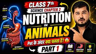 Class 7 Science Chapter 2 | Nutrition in Animals Part 1 | Human Digestive System