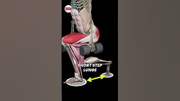 Short vs. Long Step Lunges–What’s the Difference? 🔥