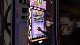 jackpot bonus scioto downs