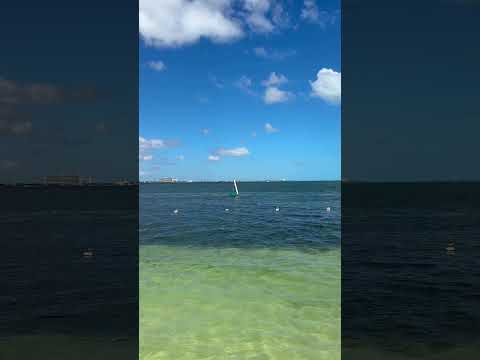 Everything feels better when you’re on vacation. 😎 💎Grand Oasis Palm #OasisLovesU