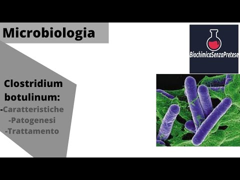 Microbiologia | C.Botulinum  e Tossina Botulinica.