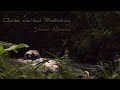 Rest as Awareness | 10-Minute Non-Dual Guided Meditation (Stream Ambience)