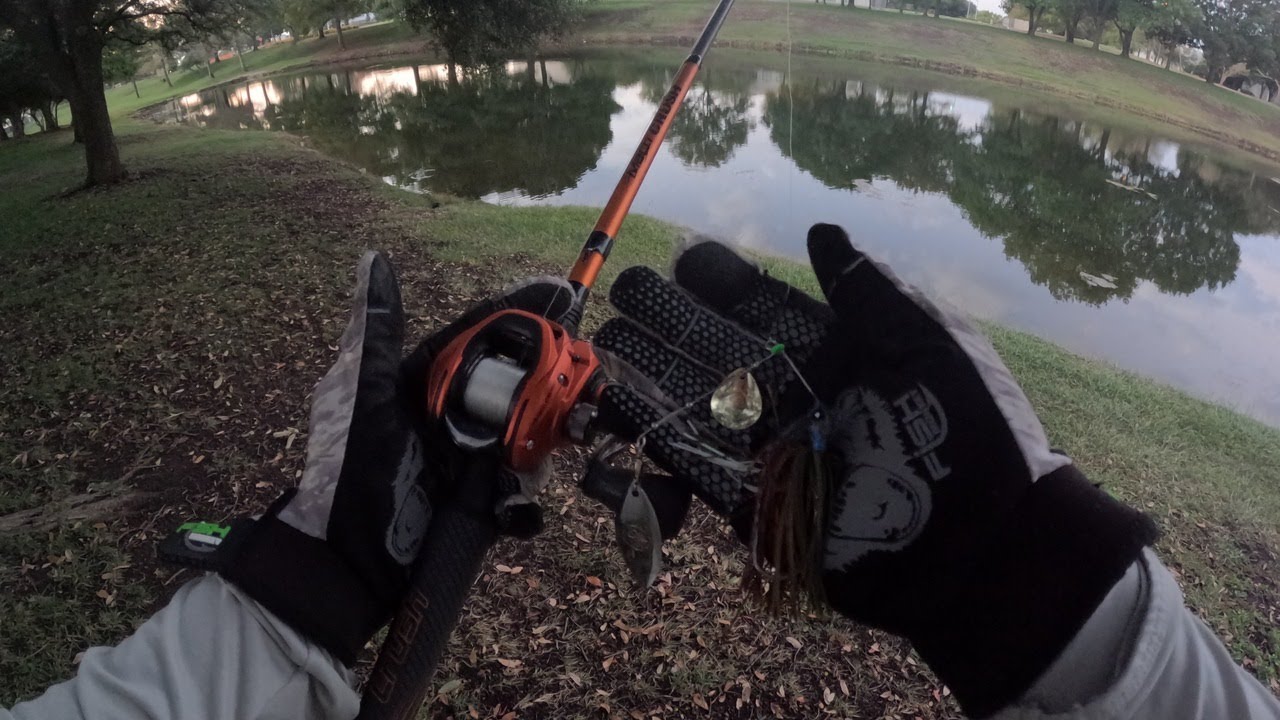 Fall Bass Fishing in Texas!!