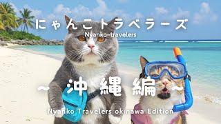 まるさん おばけなにゃんこたちシリーズ 4点セット+旅猫ツアーズ2点 猫たちが沖縄へ!青い海でウミガメと泳ぐバカンス旅/Cats