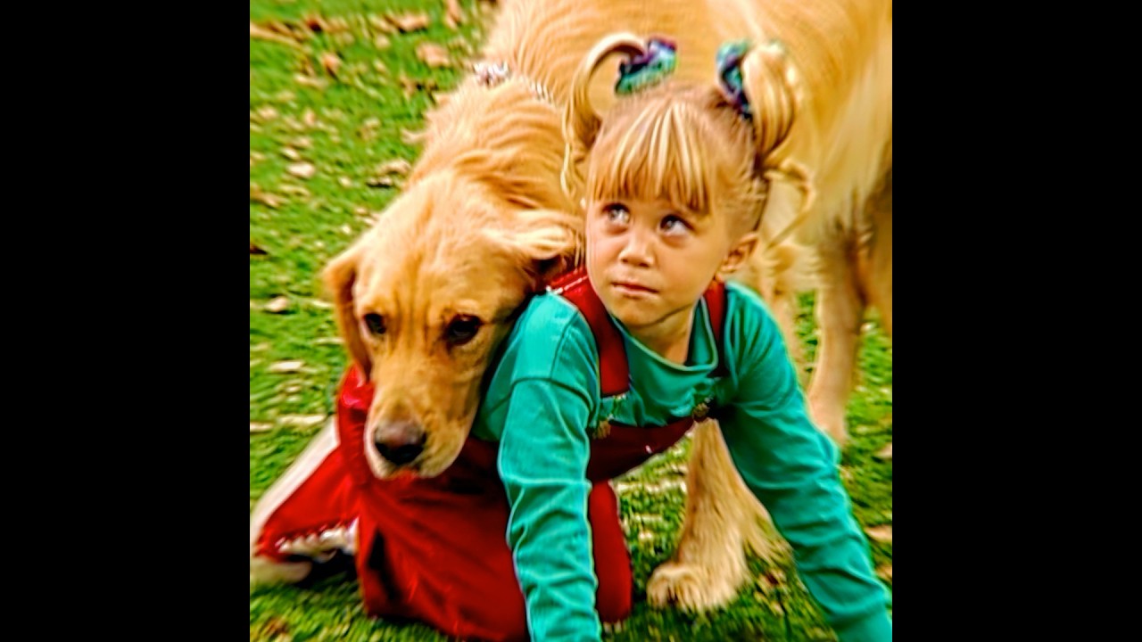 Dog and Thing 🐶 #tvshow #edit #cut