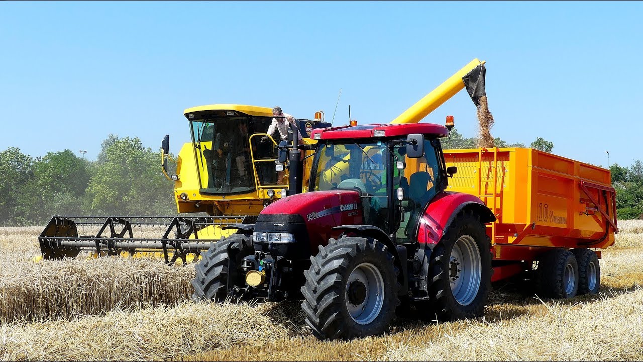 Tarwe oogst met New Holland TC56. Akkerb. Mts. Stael Bierum.