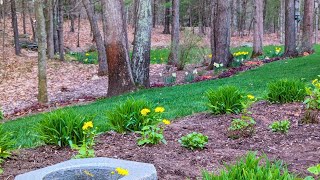 Edging a Flowerbed | Cutting Back & Fertilizing Perennials