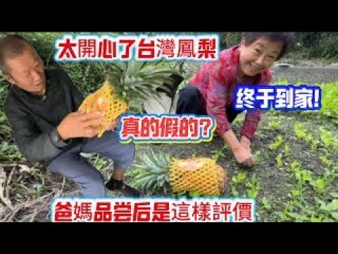 太兴奋了 台灣凤梨终于到家 爸媽迫不及待品尝後居然是這樣的反應