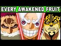 All 14 Awakened Devil Fruit Users and Their Powers Explained! (One Piece Every Awakened Devil Fruit)