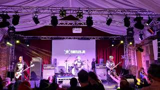 Download Lagu Turtles Jr. - This Is Fuckoff System MP3