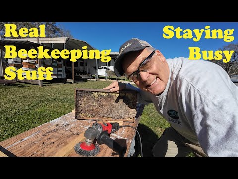 Beekeeping Not Always Fun | 21st Bee Frames | Beekeeping