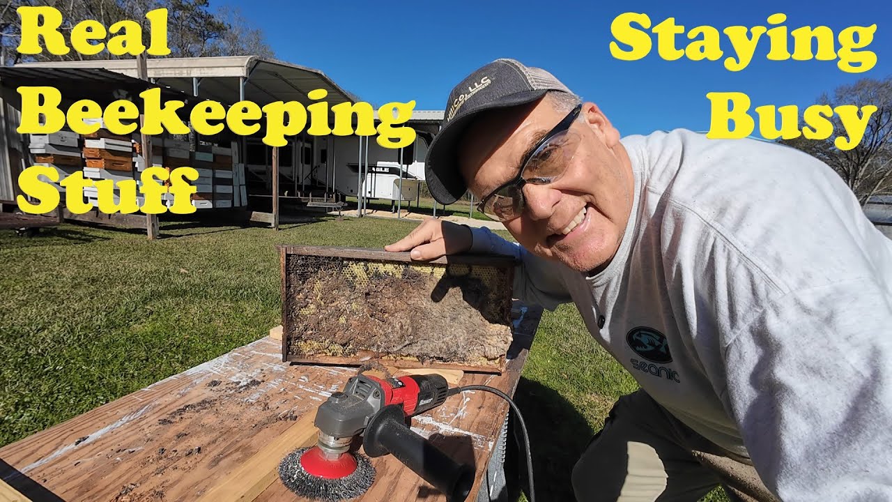 Пчеловодство — не всегда удовольствие | 21-я рамка для пчел | Пчеловодство