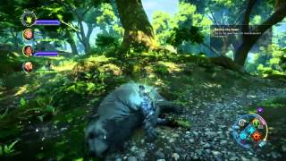 Dragon Age: Inquisition - Great Bear Hides Farming - My Route